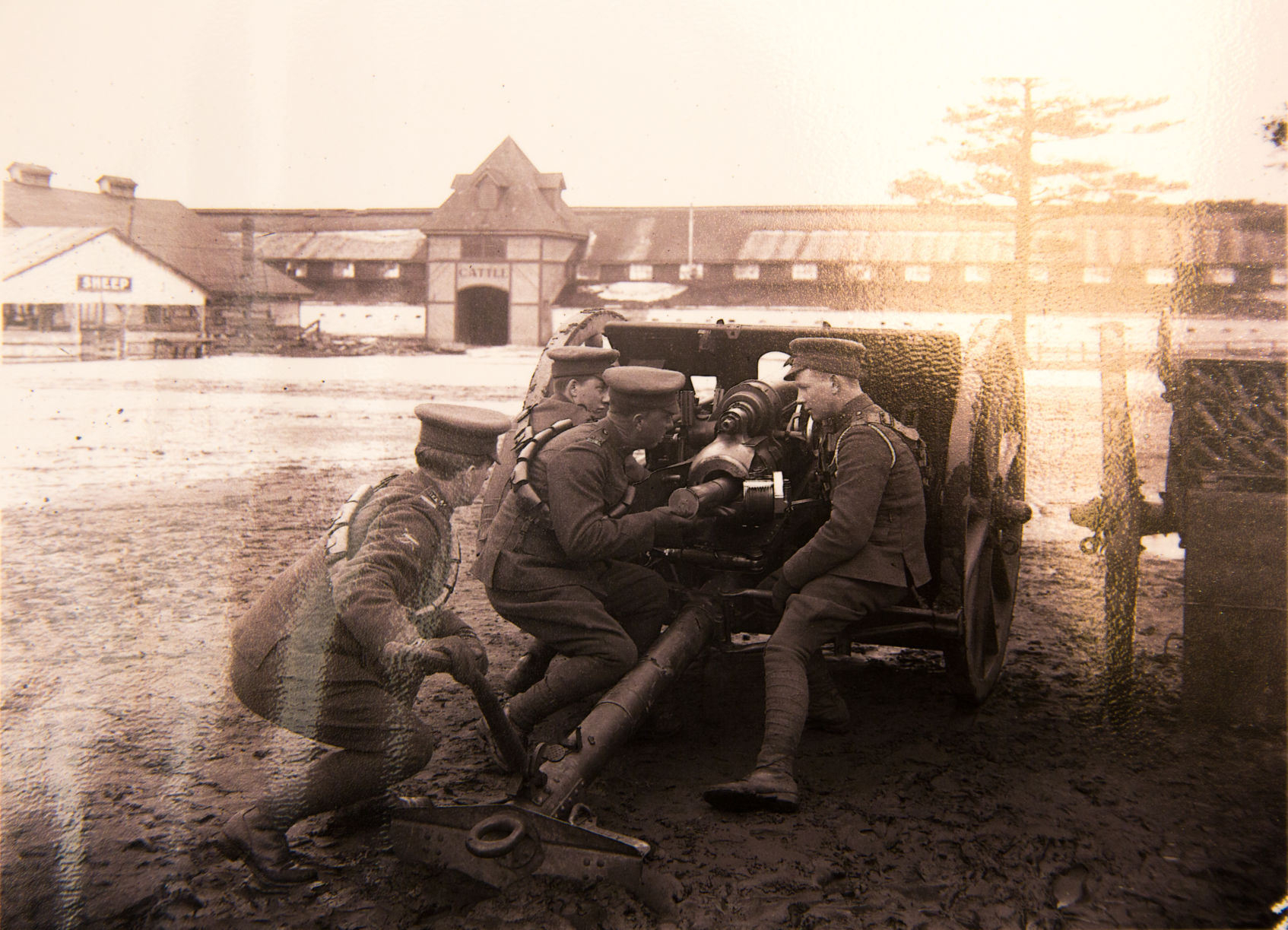 Remembrance 100 years later (Military exhibition, Photo 6)